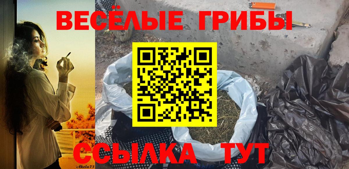 Галлюциногенные грибы GOLDEN TEACHER  Псилоцибиновые грибы Magic Shrooms  Костомукша  Вход с VPN 
